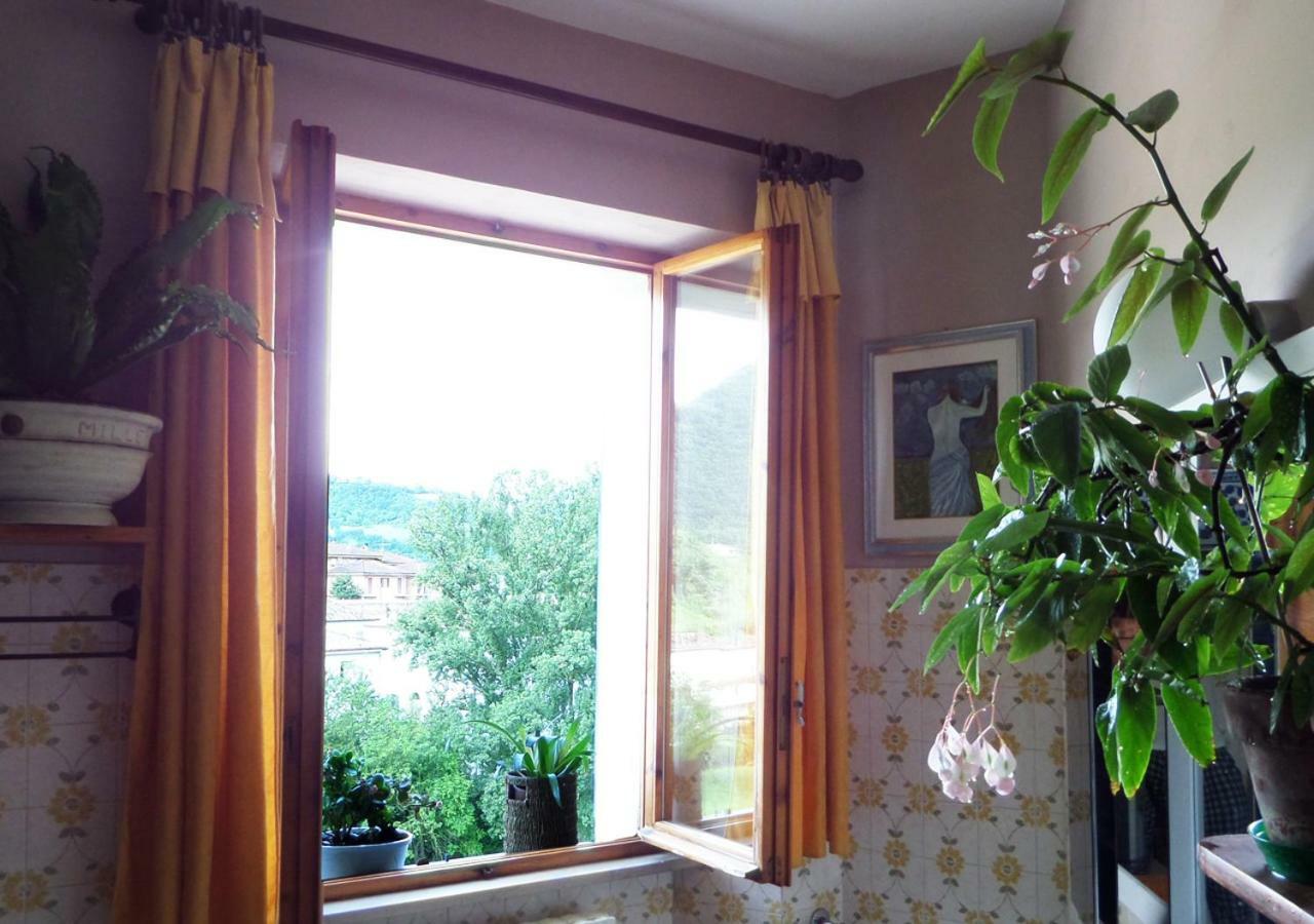 La Finestra Sul Fiume Bed & Breakfast Фосомброне Екстериор снимка